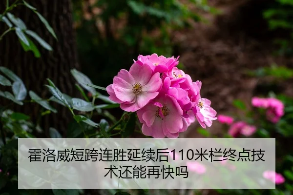 霍洛威短跨连胜延续后110米栏终点技术还能再快吗