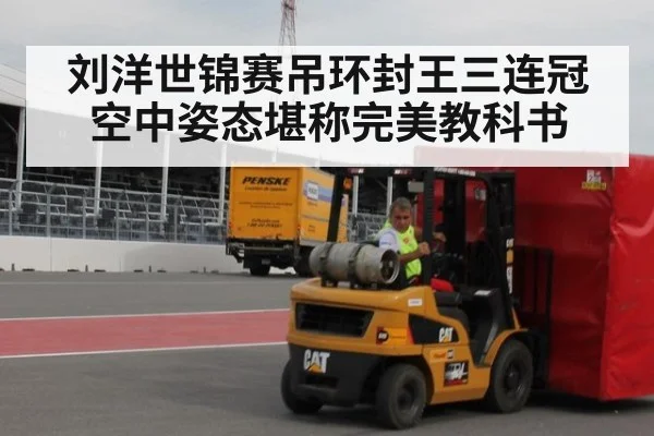 刘洋世锦赛吊环封王三连冠空中姿态堪称完美教科书